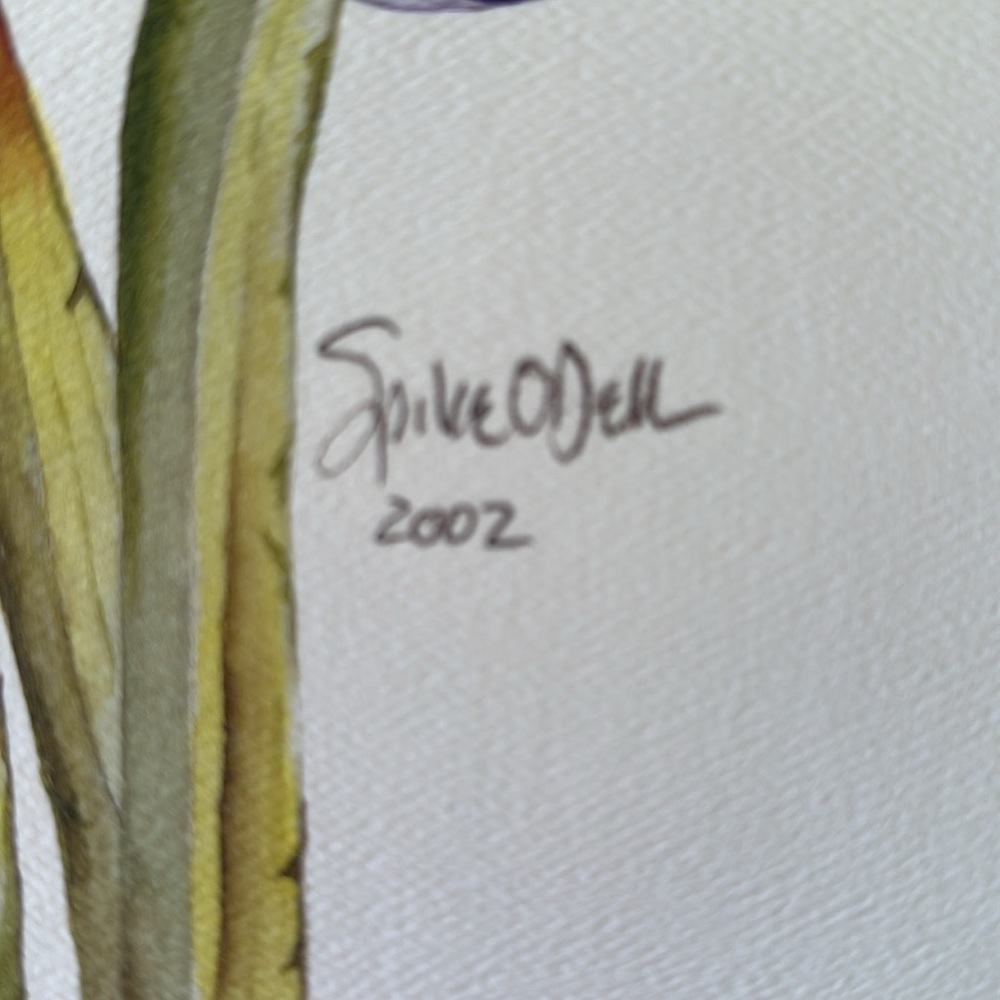 Chicago WGN’s Spike O’Dell - Purple Iris Watercolor Print - 2002 - Picture 5 of 5